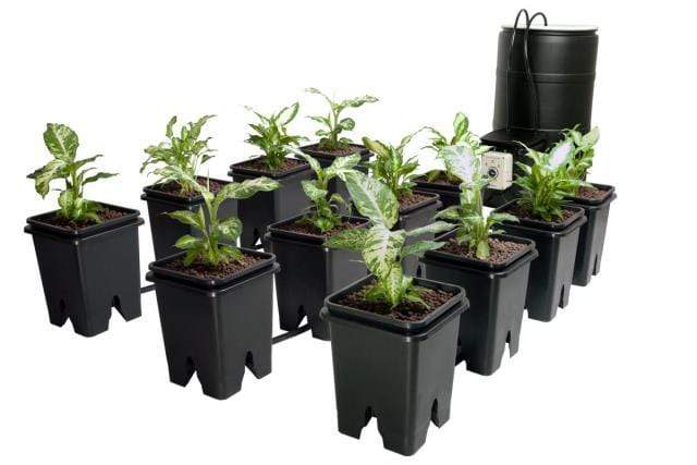 Active Aqua Hydroponics Active Aqua Grow Flow 5 gal System w/Controller Unit & 3/4