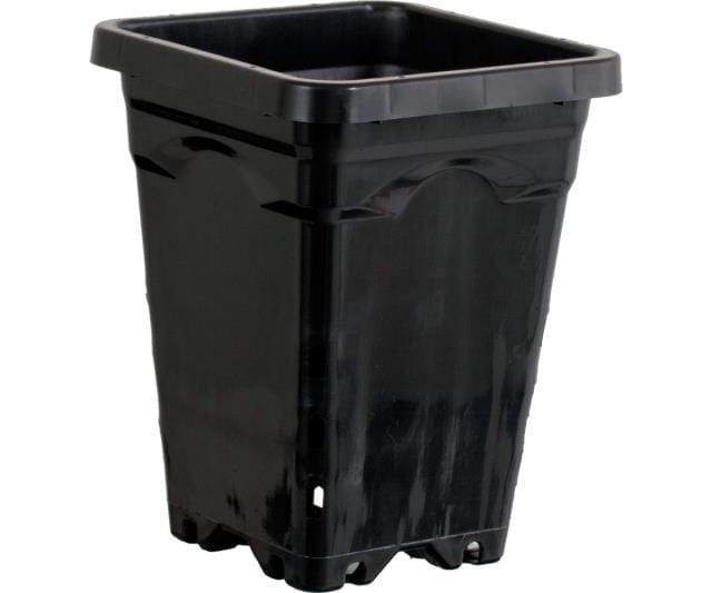 Active Aqua Soils & Containers Active Aqua 5