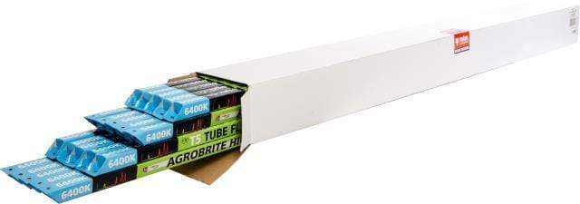 AgroBrite Grow Lights Agrobrite 54W T5 4' Replacement Lamps, 6400K, case of 20