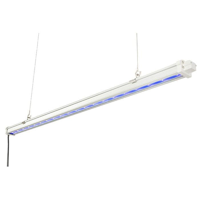 Gavita Grow Lights Gavita UVR LED Grow Light