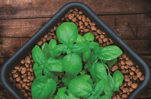 GROW!T Hydroponics GROW!T Clay Pebbles 4mm-16mm
