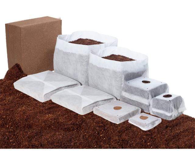 GROW!T Soils & Containers GROW!T Commercial Coco, RapidRIZE Block, case of 10