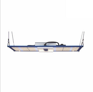Horticulture Lighting Group Grow Lights Horticulture Lighting Group HLG 300L Bspec 270 Watt LED Grow Light