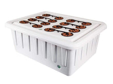 Load image into Gallery viewer, Super Closet Grow Tents Super Closet Deluxe Smart Grow Box