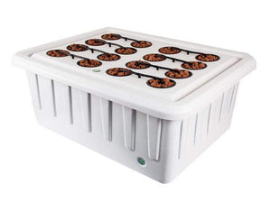 Super Closet Grow Tents Super Closet SuperRoom 2'x4' Smart Grow Tent System And XL600 LED Grow Light
